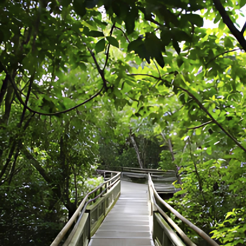 Parque Iguazu